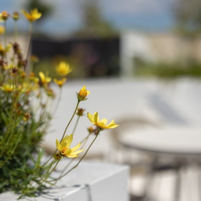 เช่า 2 ห้องนอนวิลล่ากาบาลาห์ (ID 543)