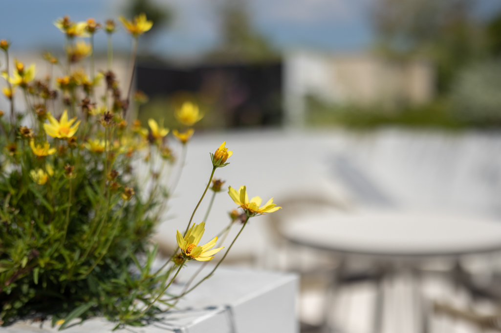 เช่า 2 ห้องนอนวิลล่ากาบาลาห์ (ID 543)