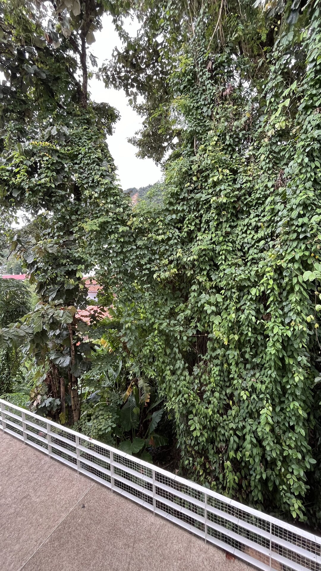 2 bedroom apartment for sale in Kata ocean view (ID 348)