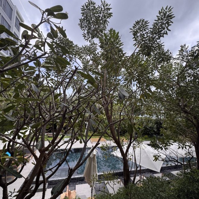 1 bedroom apartment with garden view in Laguna Lakeside (ID 507)