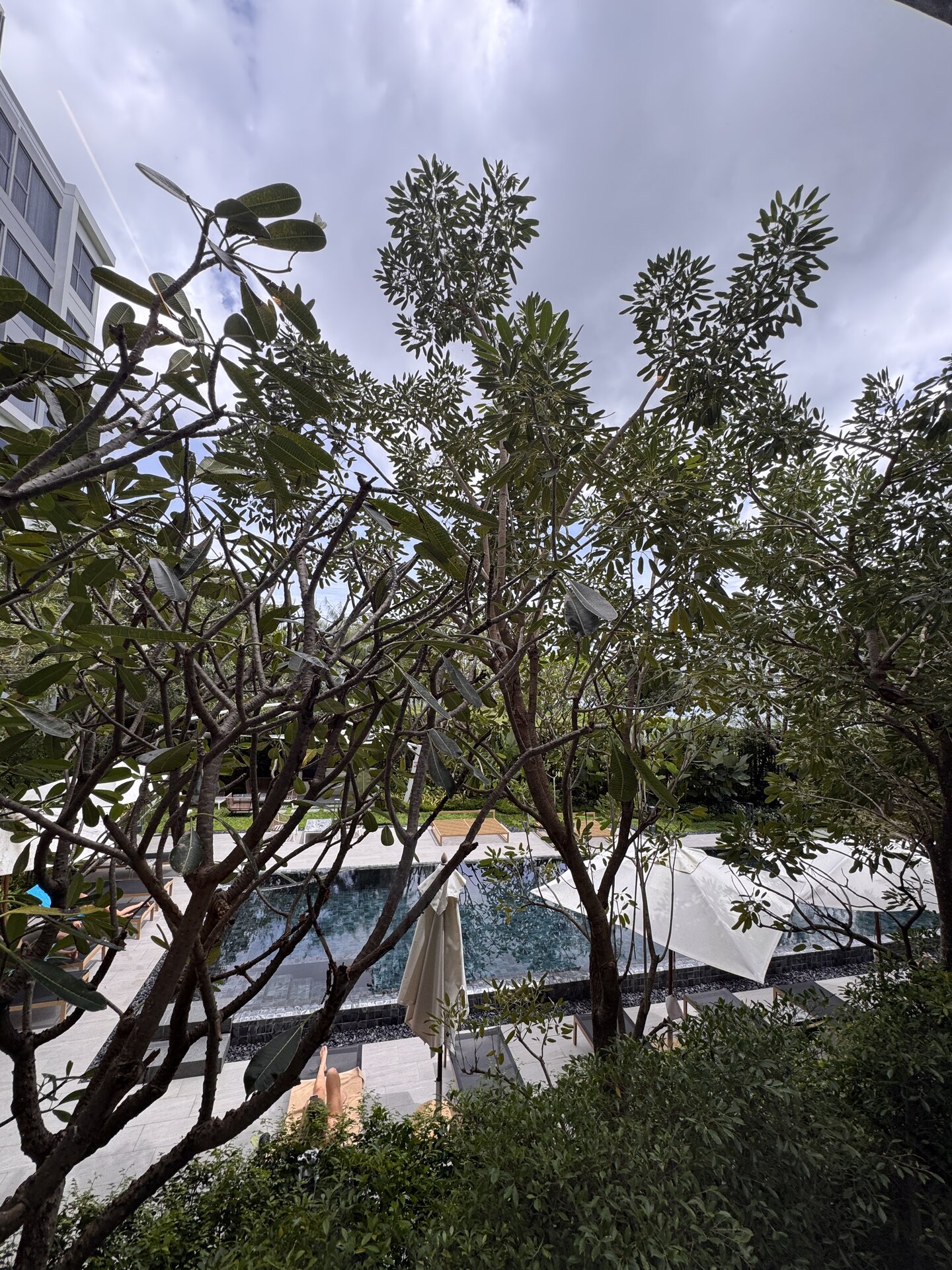 1 bedroom apartment with garden view in Laguna Lakeside (ID 507)