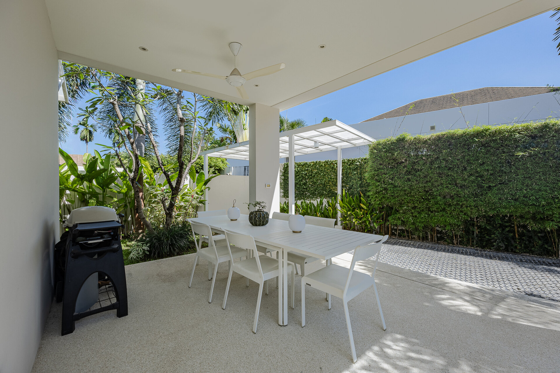 Trichada Tropical (ID 686)