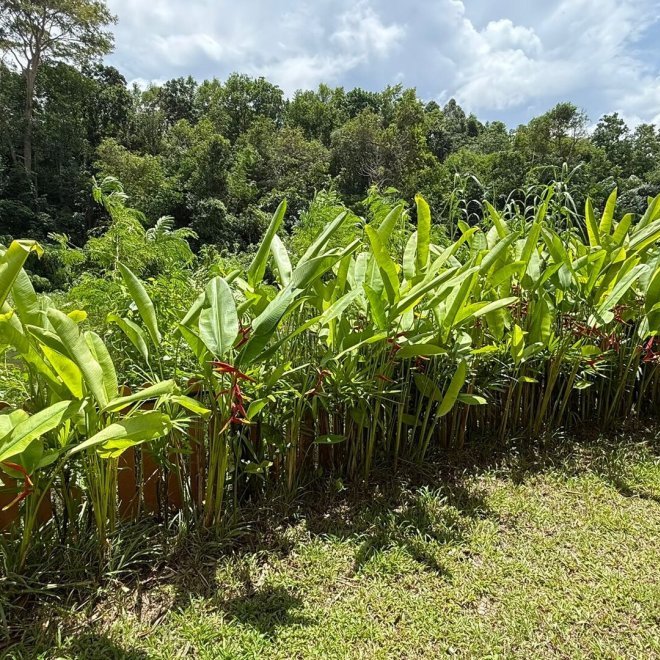 เลคฟร้อนท์วิลล่าบ้านมานิค-5 ห้องนอน (ID 155)