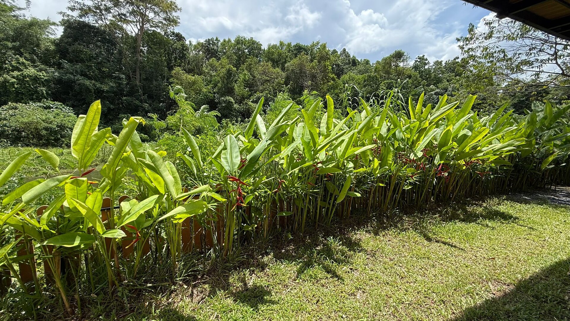 เลคฟร้อนท์วิลล่าบ้านมานิค-5 ห้องนอน (ID 155)