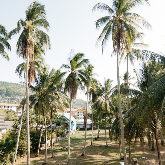 Аренда студии в Aristo 2, юнит 424 (ID 324)