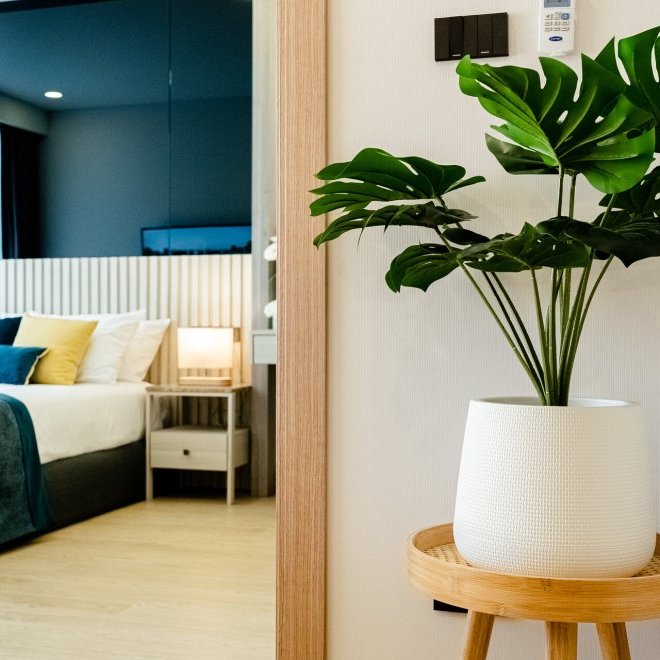 臭氧第一阶段 (ID 584)