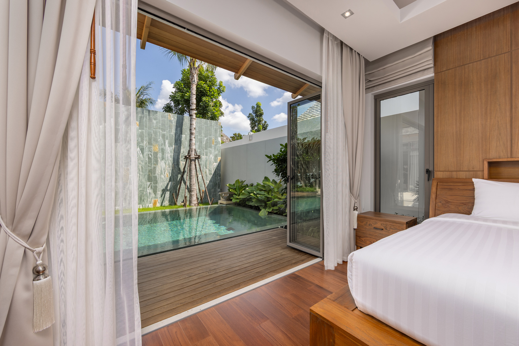 อัญชันฟลอร่า (ID 559)