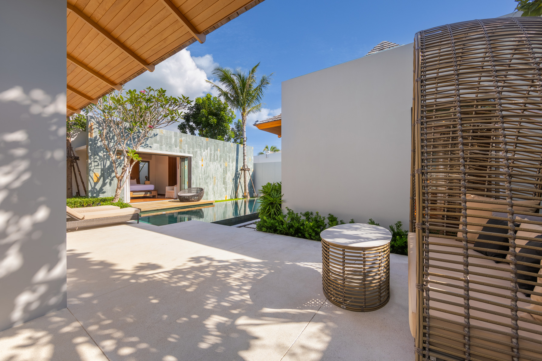 อัญชันฟลอร่า (ID 559)