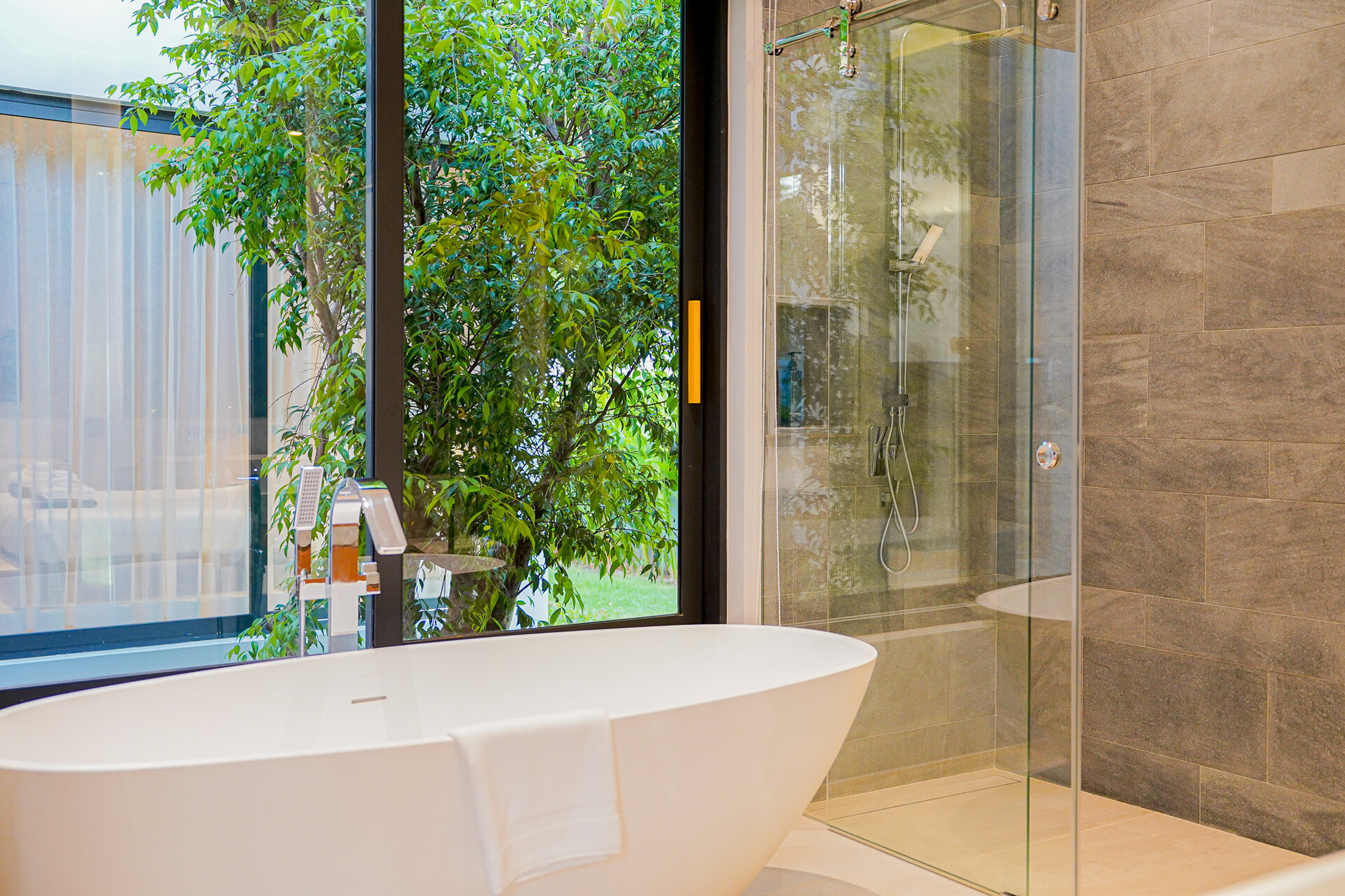 โบทานิก้าฟอเรสต้า (ID 633)