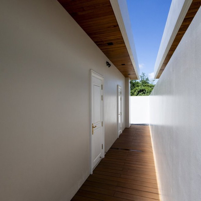 Gold Charoit (ID 554)