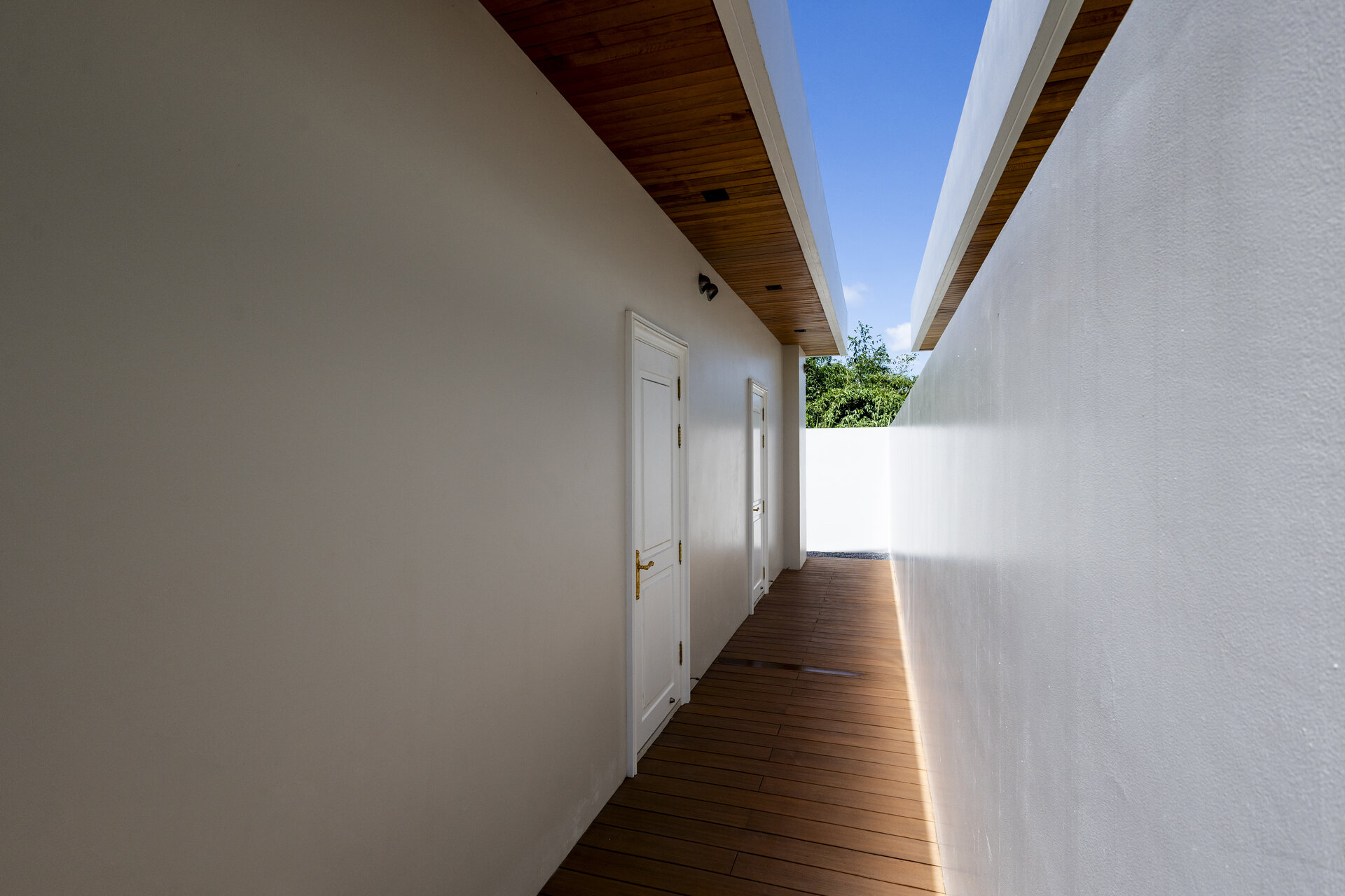 Gold Charoit (ID 554)