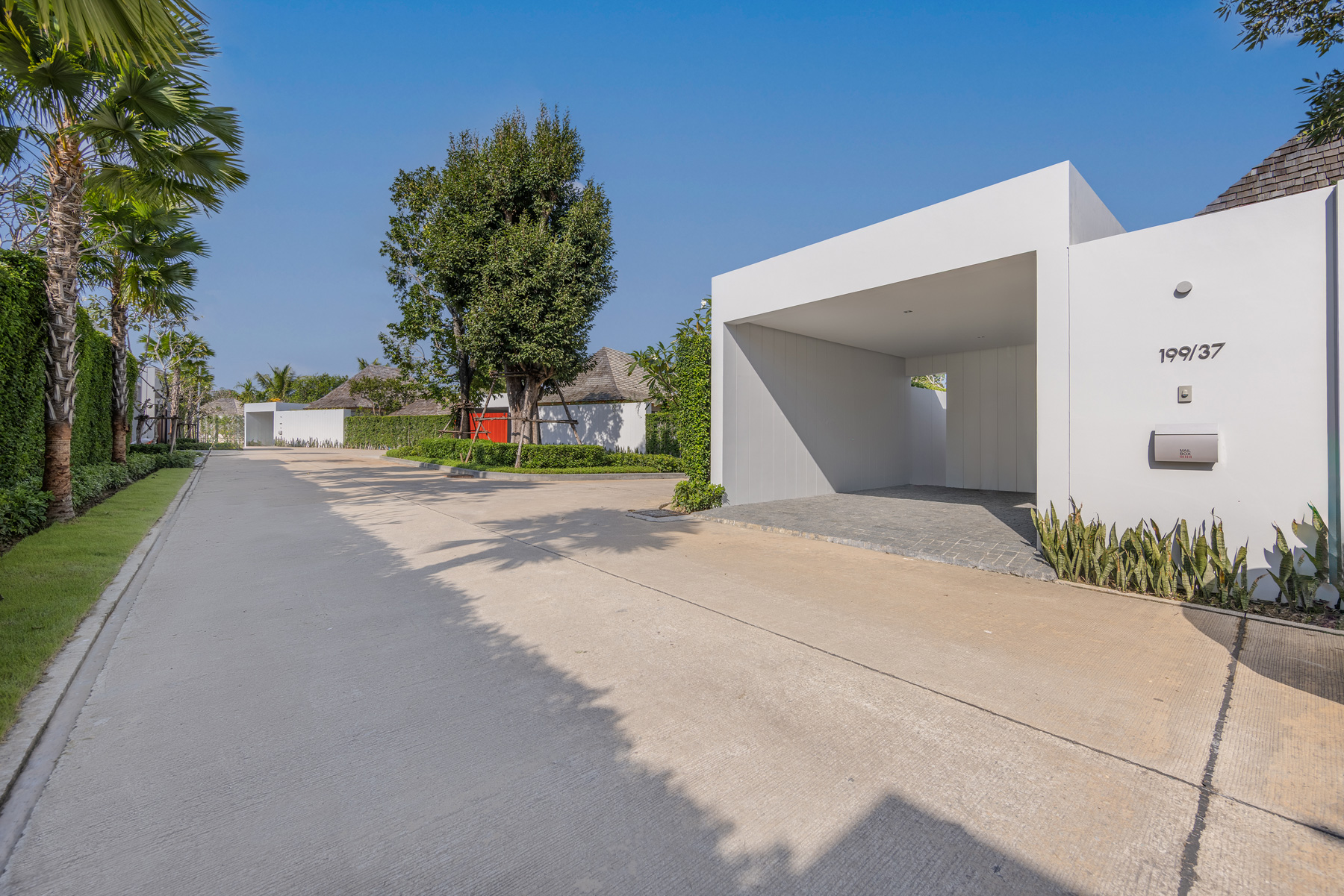 อัญชันฟลอร่า (ID 559)