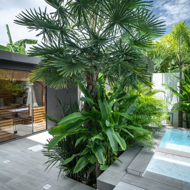 Jungle Serenity Villa (ID 578)