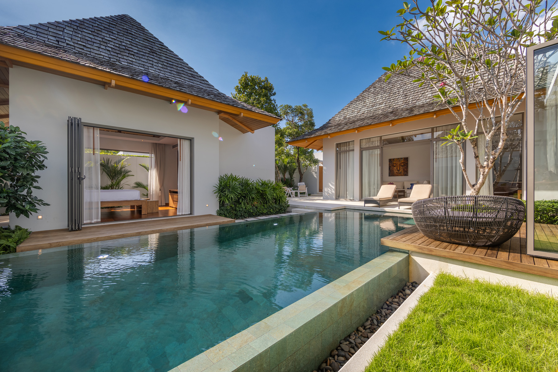 อัญชันฟลอร่า (ID 559)