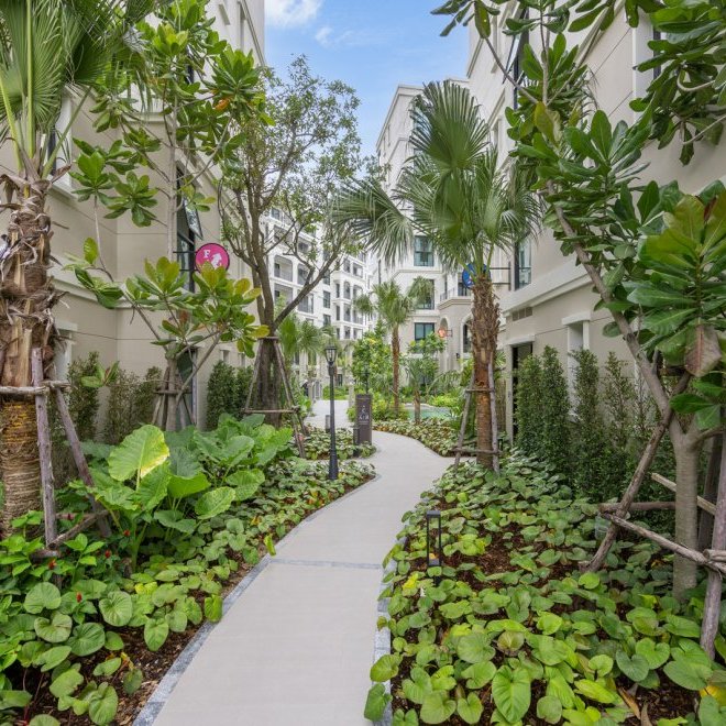 The Title Legendary A202 (ID 700)