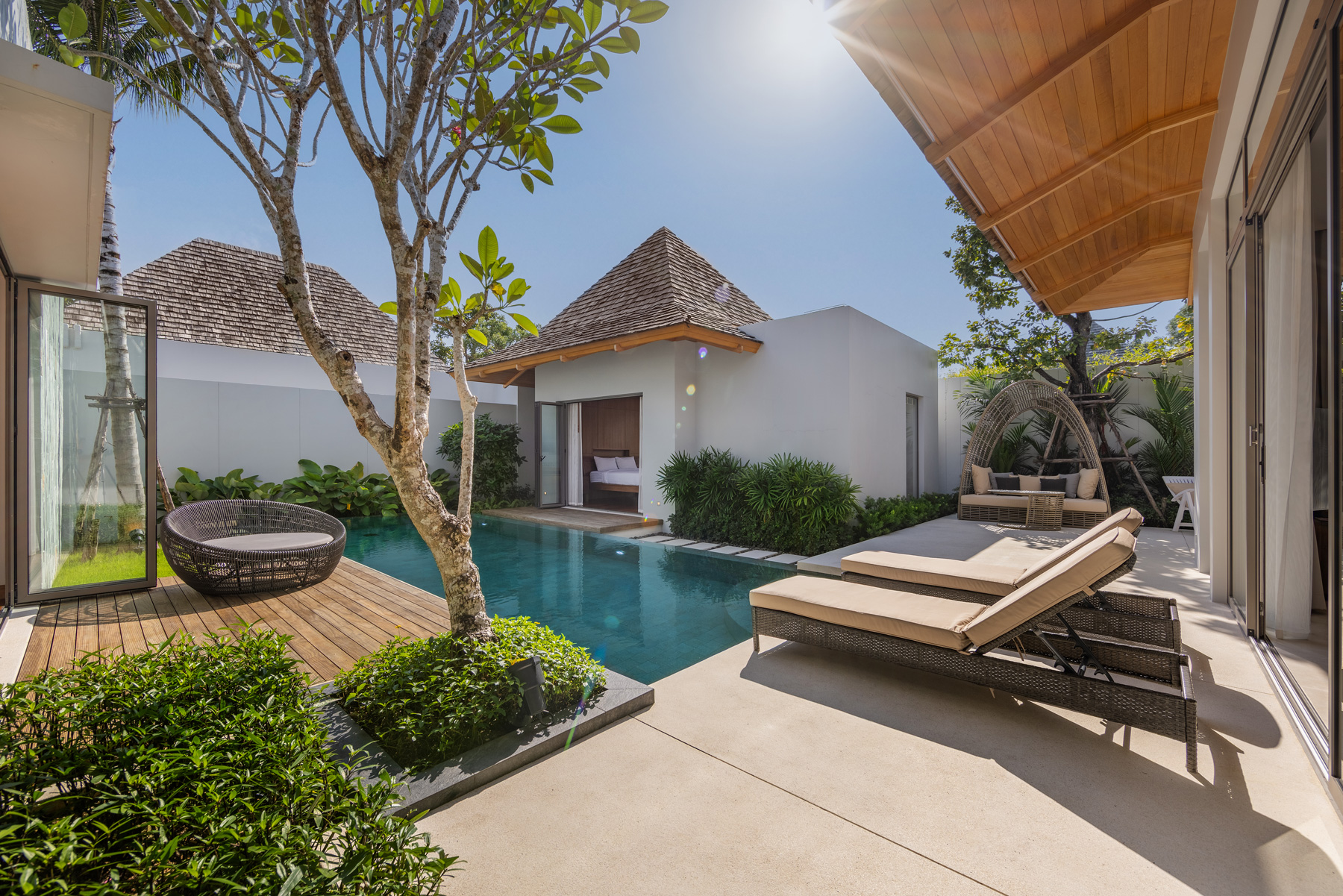 อัญชันฟลอร่า (ID 559)