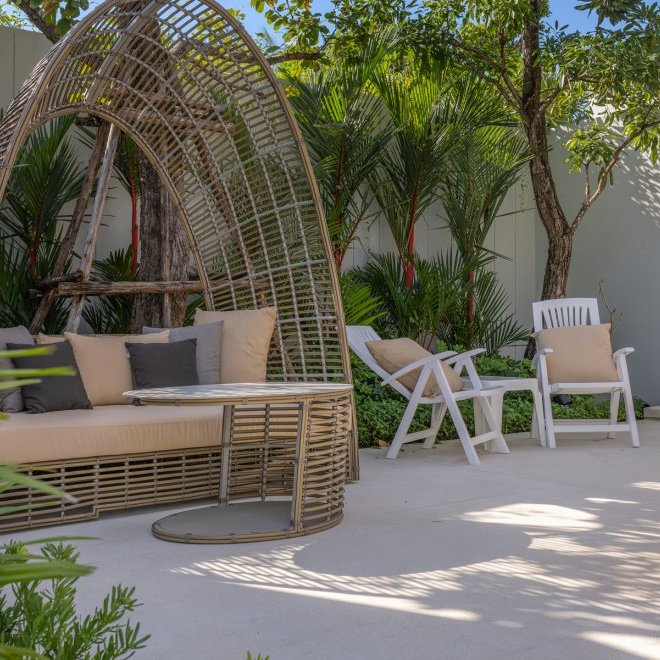 อัญชันฟลอร่า (ID 559)