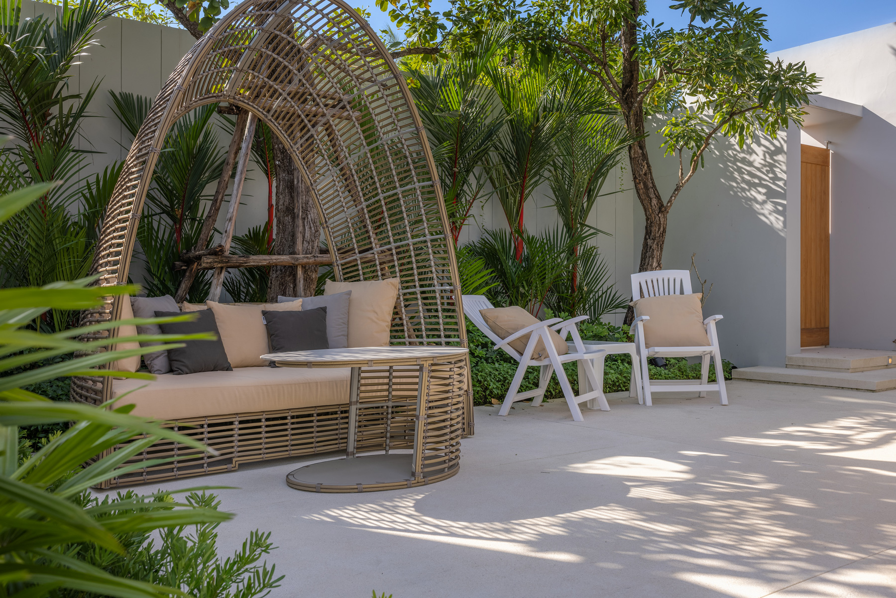 อัญชันฟลอร่า (ID 559)