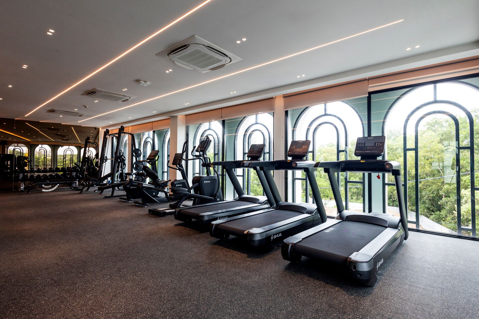 The Title Legendary (ID 589)