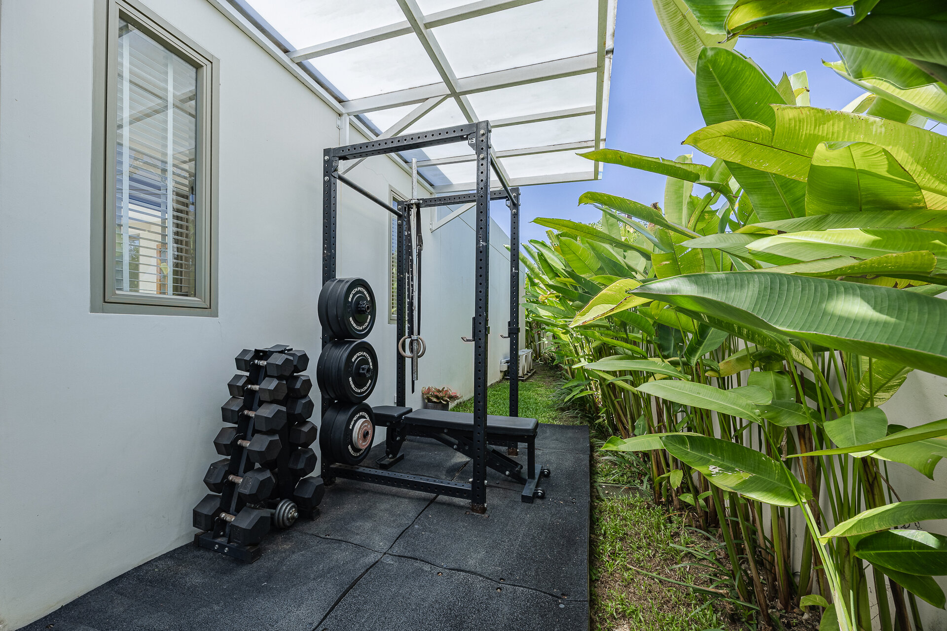 Trichada Tropical (ID 686)