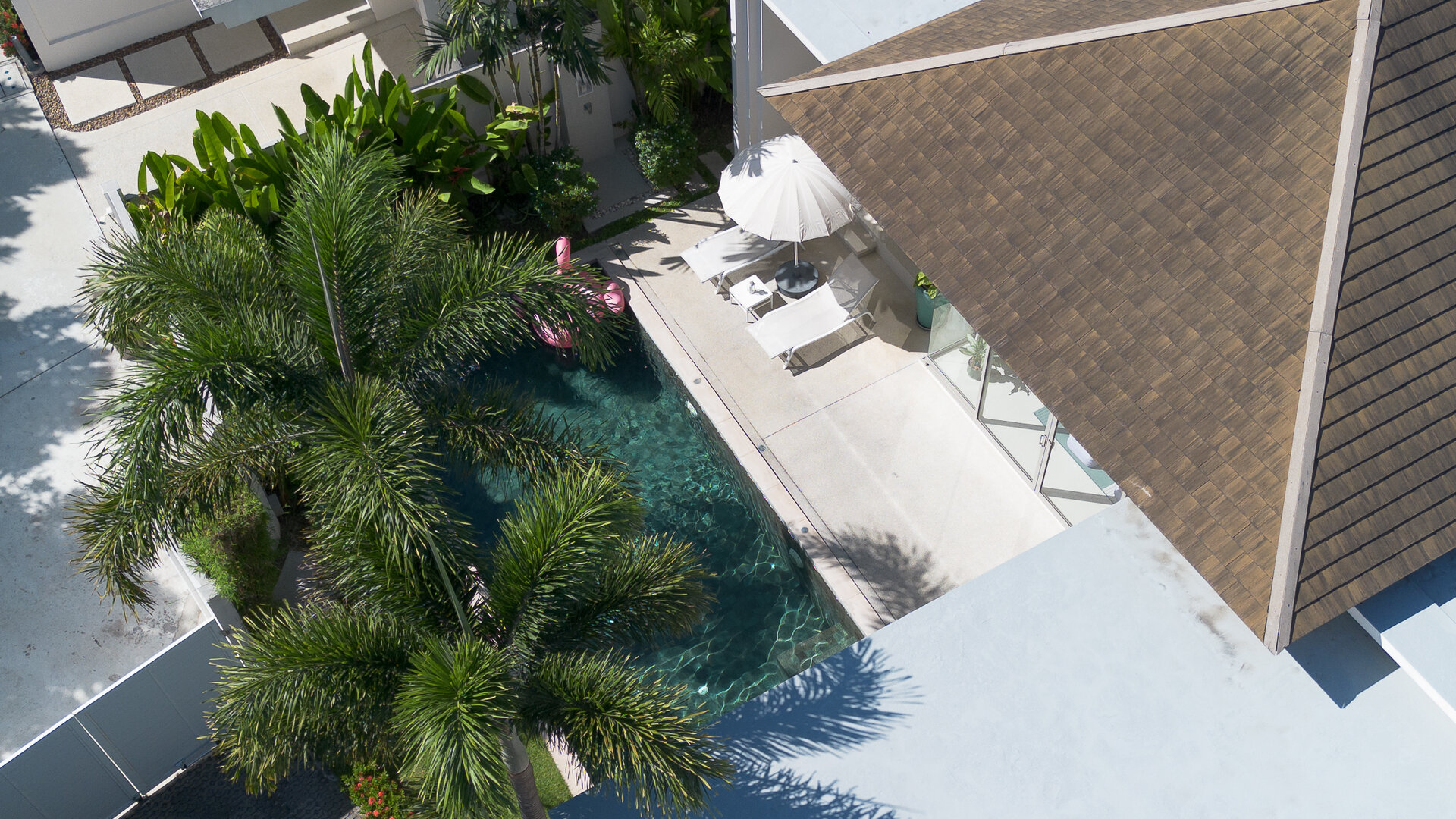 Trichada Tropical (ID 686)