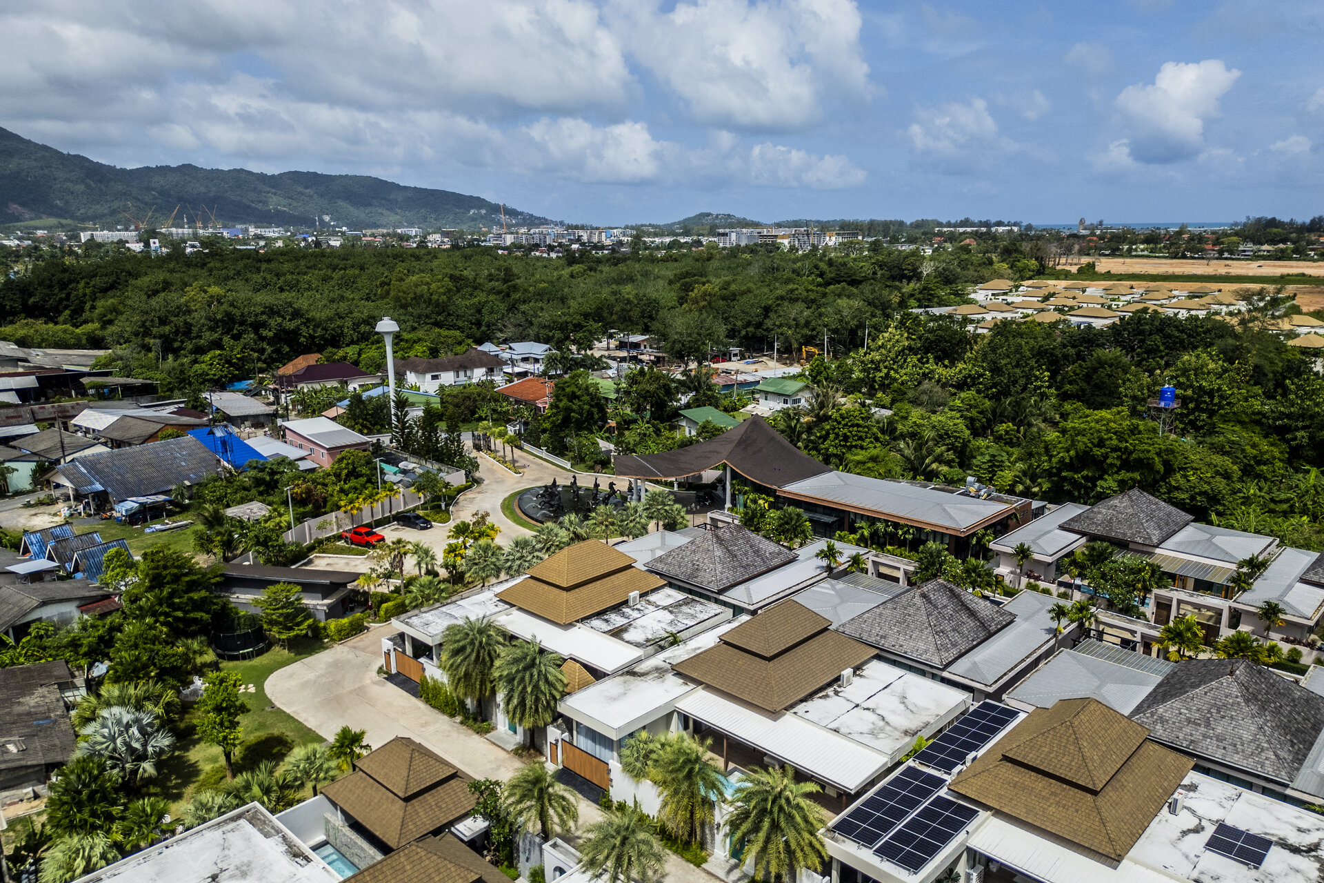 Gold Charoit (ID 554)