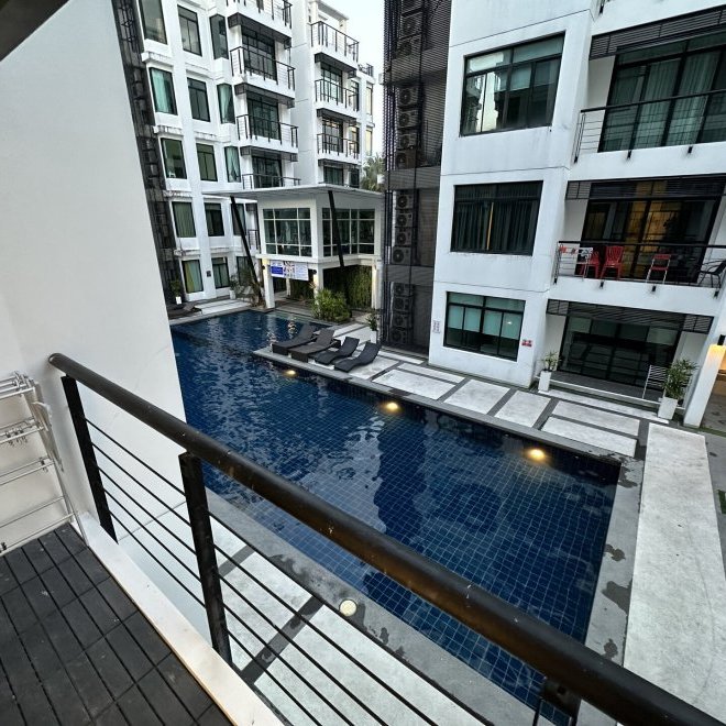 Regent Kamala (ID 555)