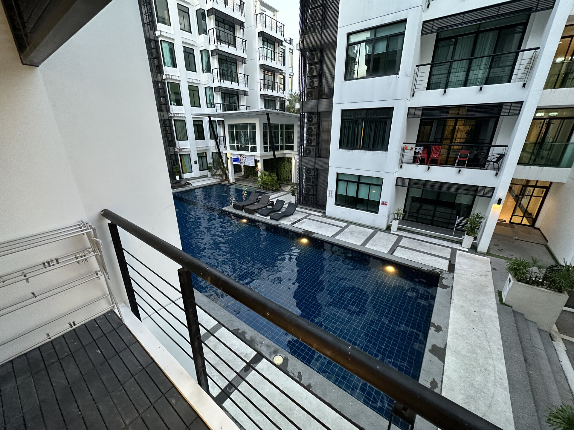 Regent Kamala (ID 555)