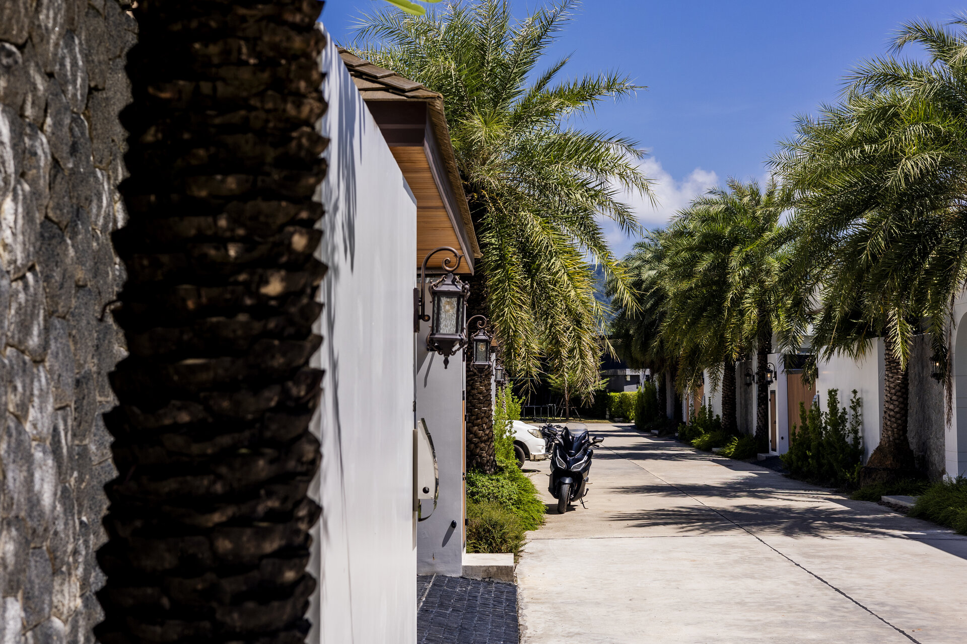 Gold Charoit (ID 554)