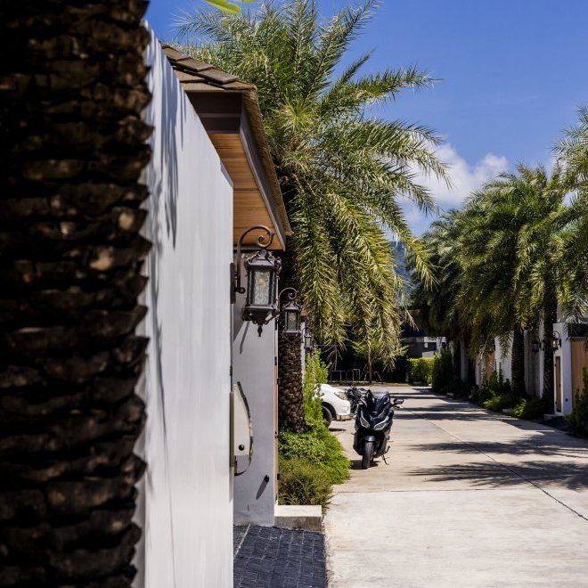 Gold Charoit (ID 554)