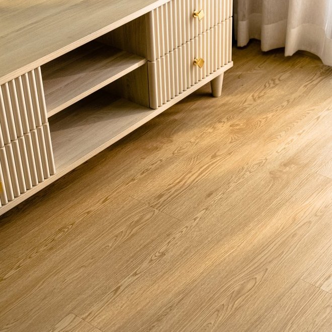 臭氧第一阶段 (ID 584)