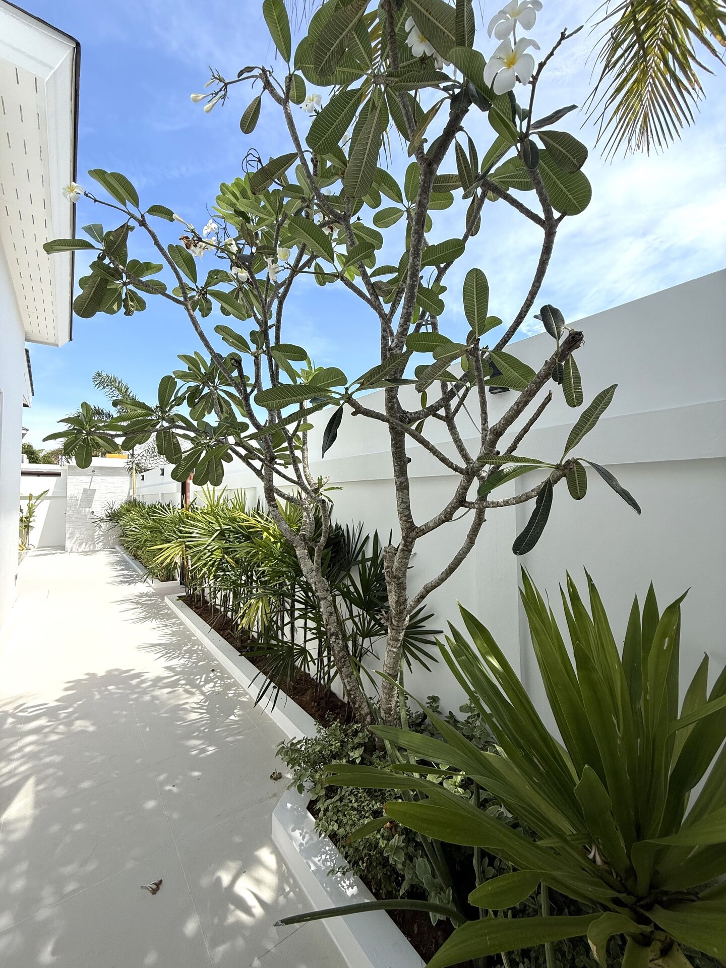 Вилла Nai Harn Residence — 3 спальни (ID 148)