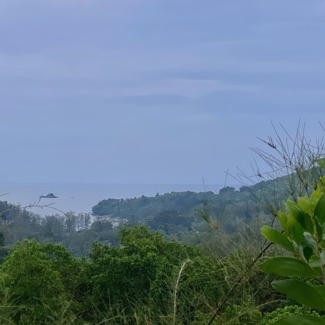 Земельный участок с видом на море (ID 149)