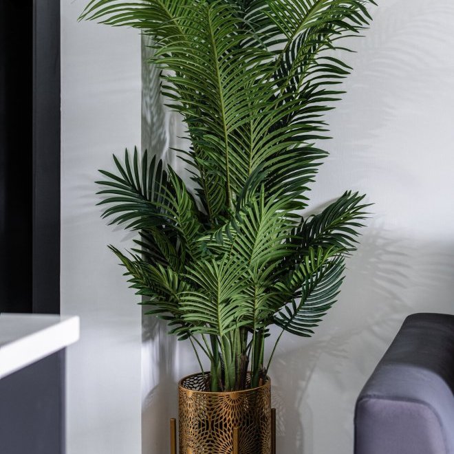 1 bedroom apartment in Allamanda (ID 572)