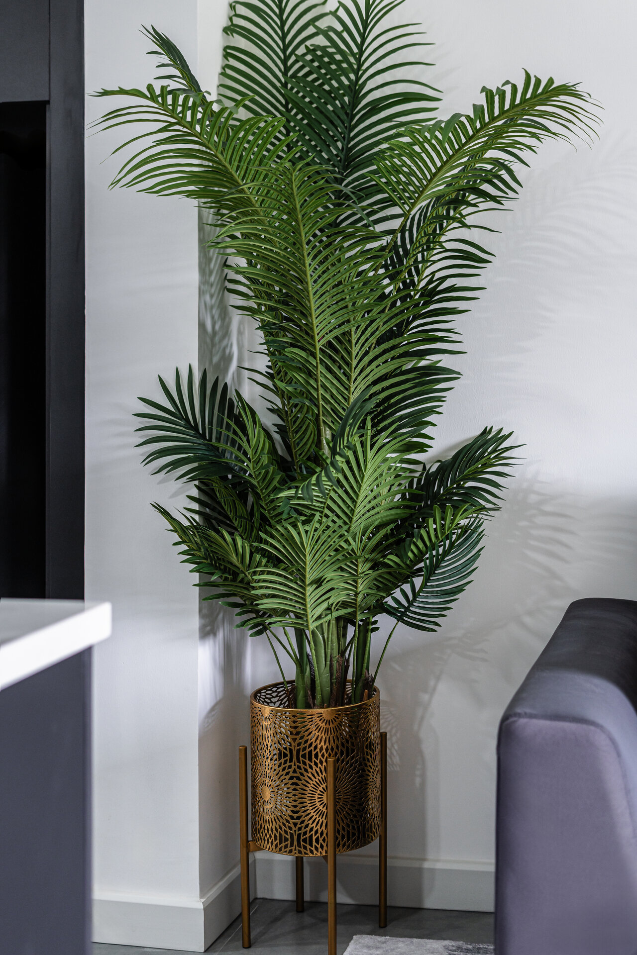 1 bedroom apartment in Allamanda (ID 572)