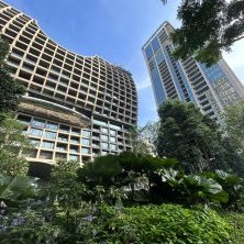 Иллюстрация к статье: Самые популярные локации для инвестиций: сравнение Бангкока, Пхукета, Самуи, Паттайи и Чиангмая