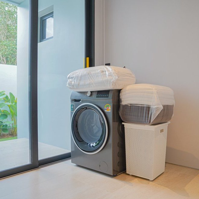 โบทานิก้าฟอเรสต้า (ID 633)